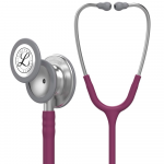 5831 CLASSIC III PLUM